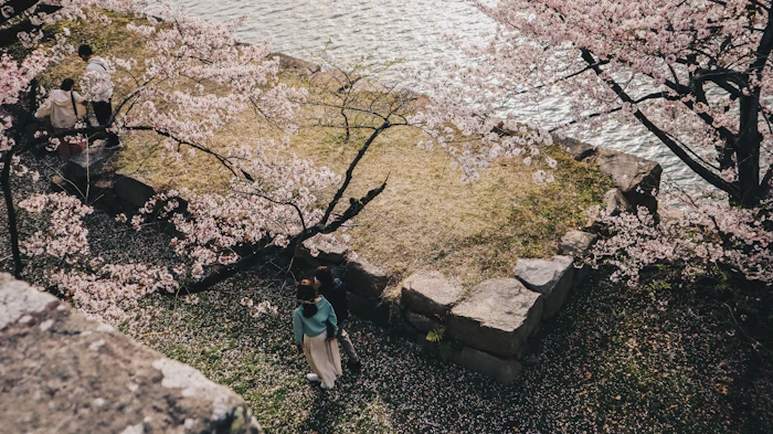 Best Walking Paths and Streets in Hiroshima to Explore on Foot