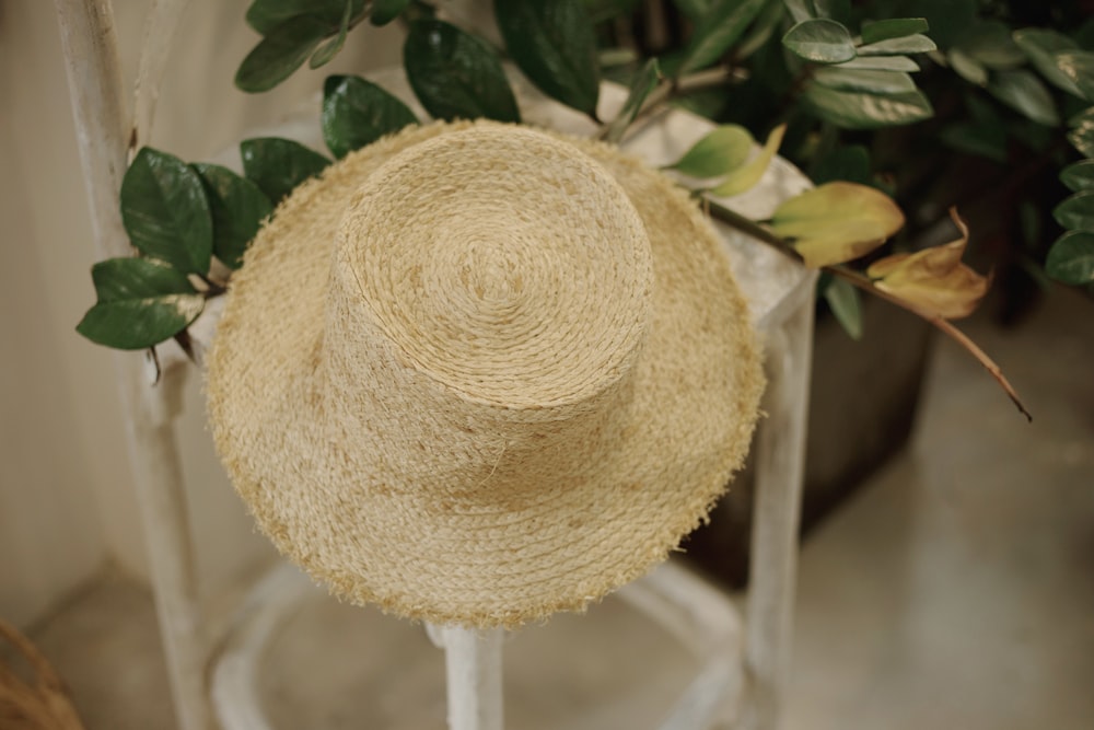 brown round hat on green leaves