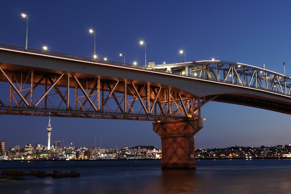 brown concrete bridge over river during night time