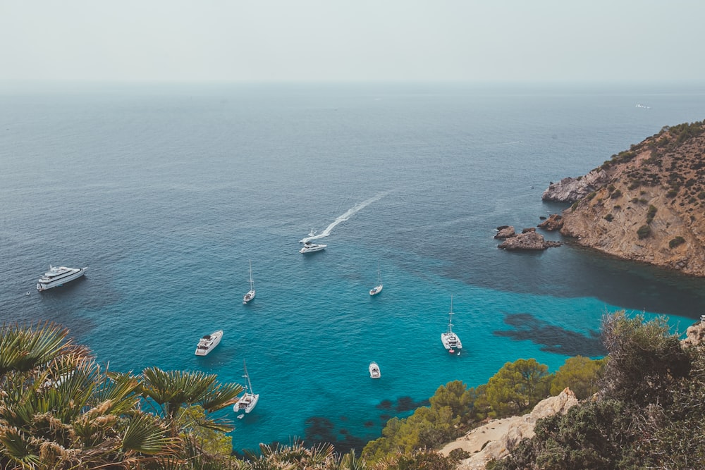 white boat on sea during daytime