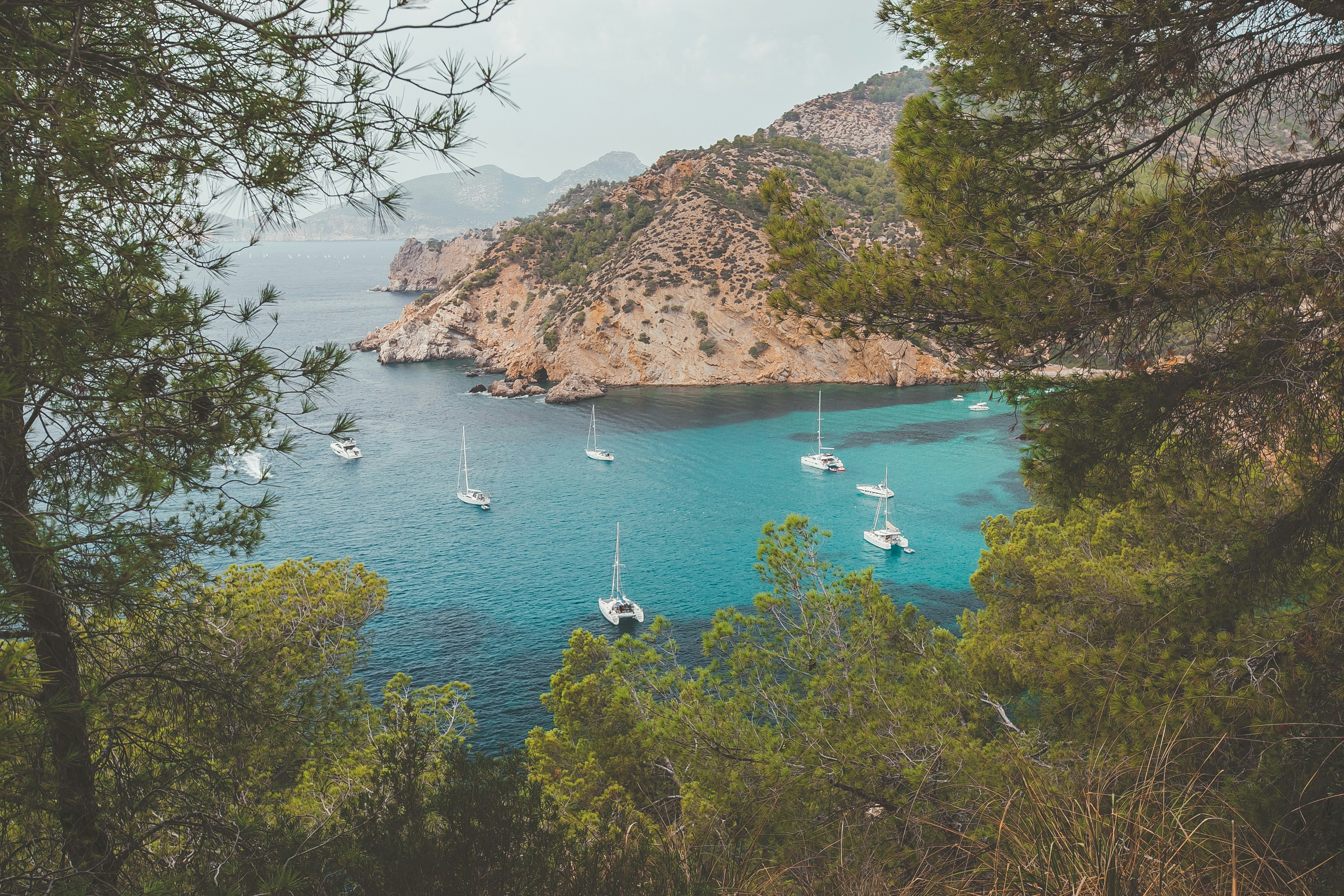 white boats on sea near green trees during daytime