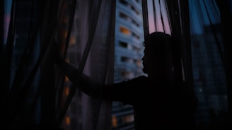 A silhouette of a male escort standing by a window overlooking the city skyline at night.