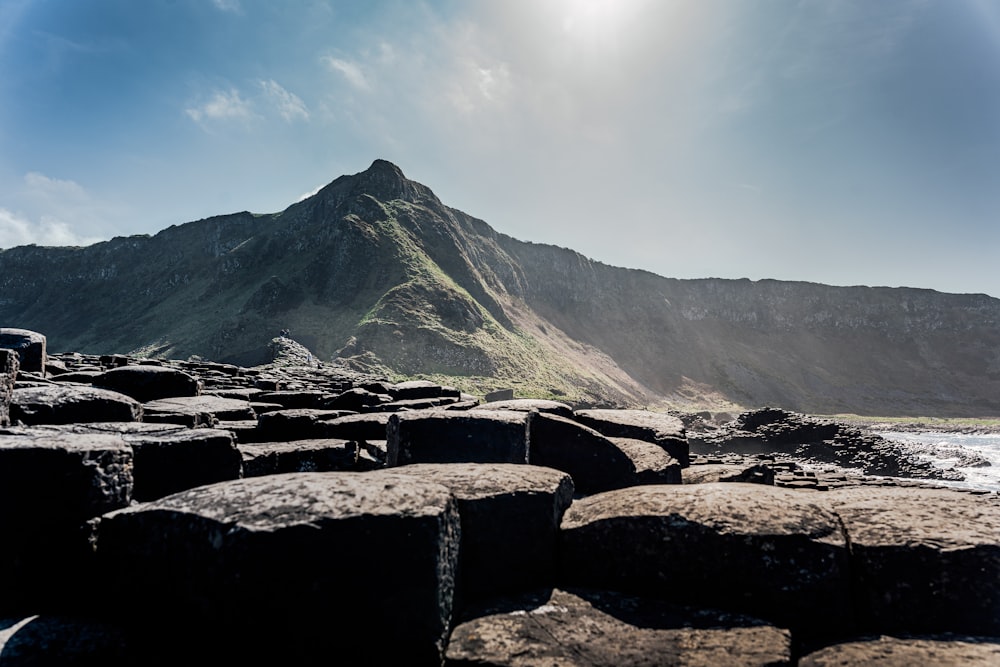 Brauner Rocky Mountain tagsüber unter blauem Himmel