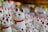 A collection of ceramic cat figurines featuring white bodies, red ears, and collars. The cats have one paw raised as if waving and are adorned with green eyes and small golden bells hanging from their necks.