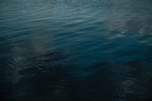 body of water during daytime
