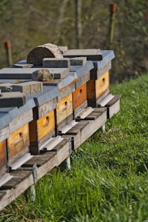 brown wooden crates on green grass field during daytime