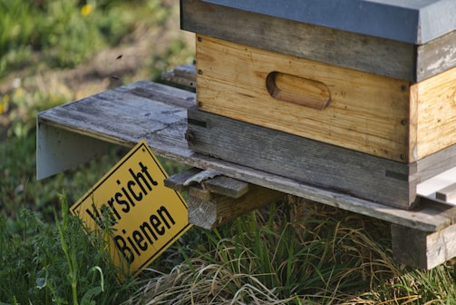 A wooden beehive rests on a wooden platform surrounded by grass. A yellow caution sign with black text warns of bees. The scene is set outdoors, likely in a rural or natural area.