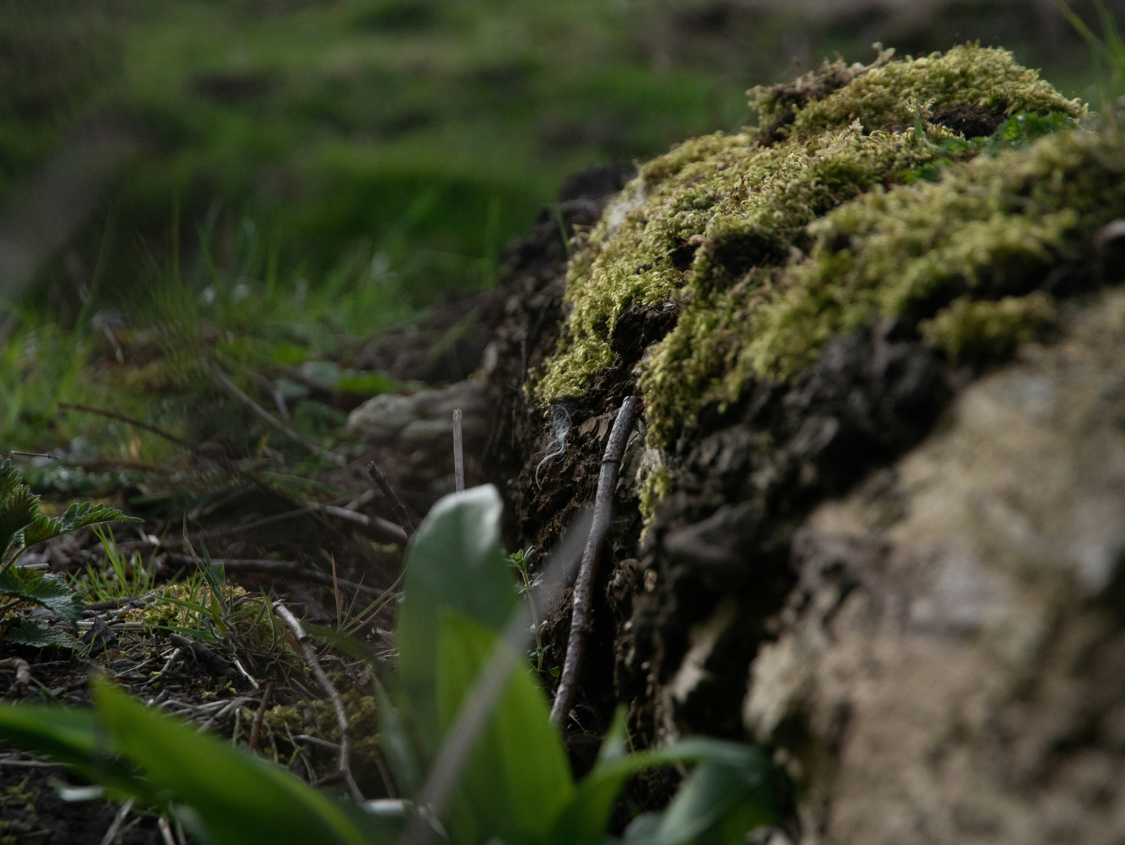 Photo by mediainspire