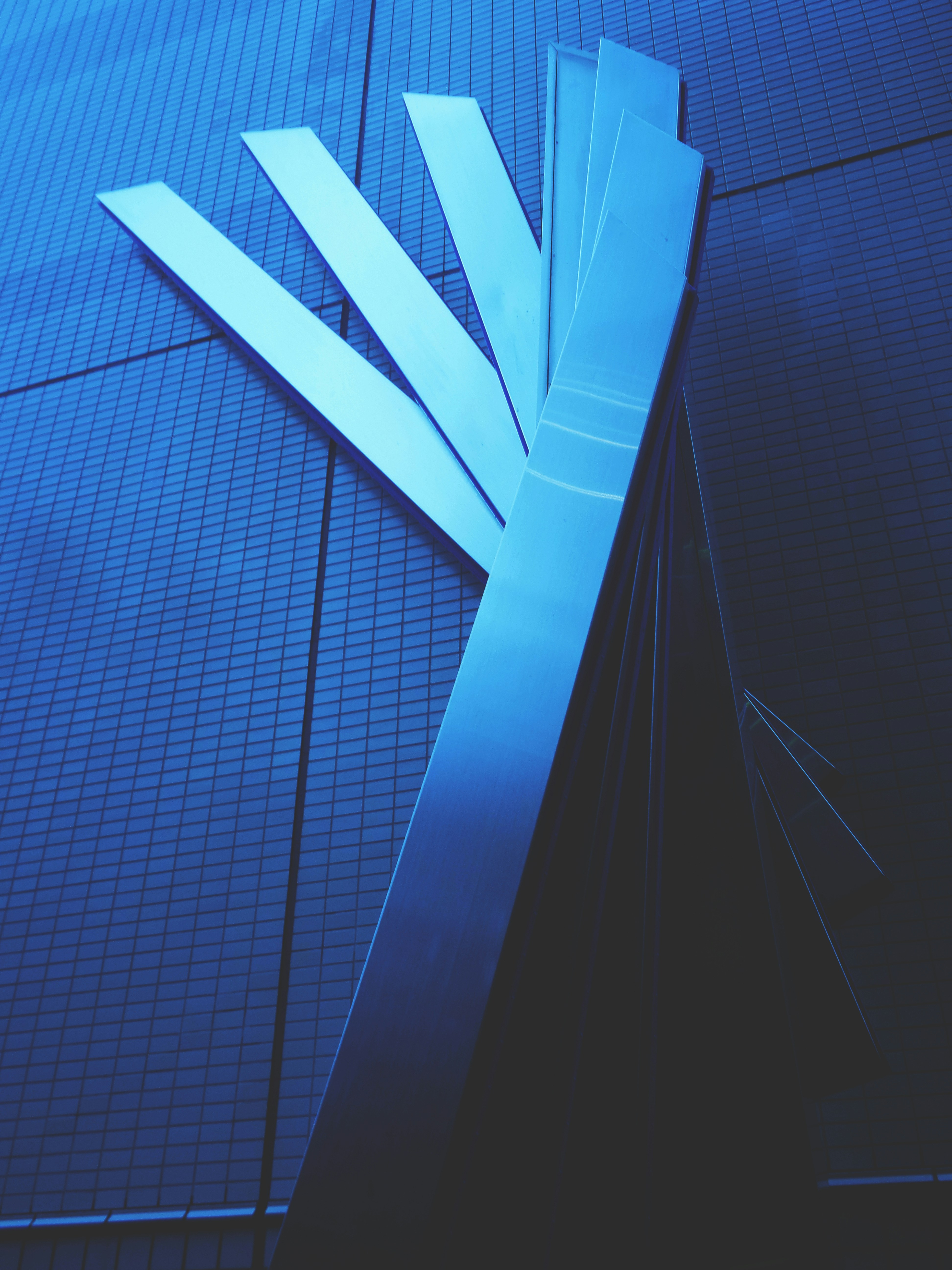 Photo by possessedphotography