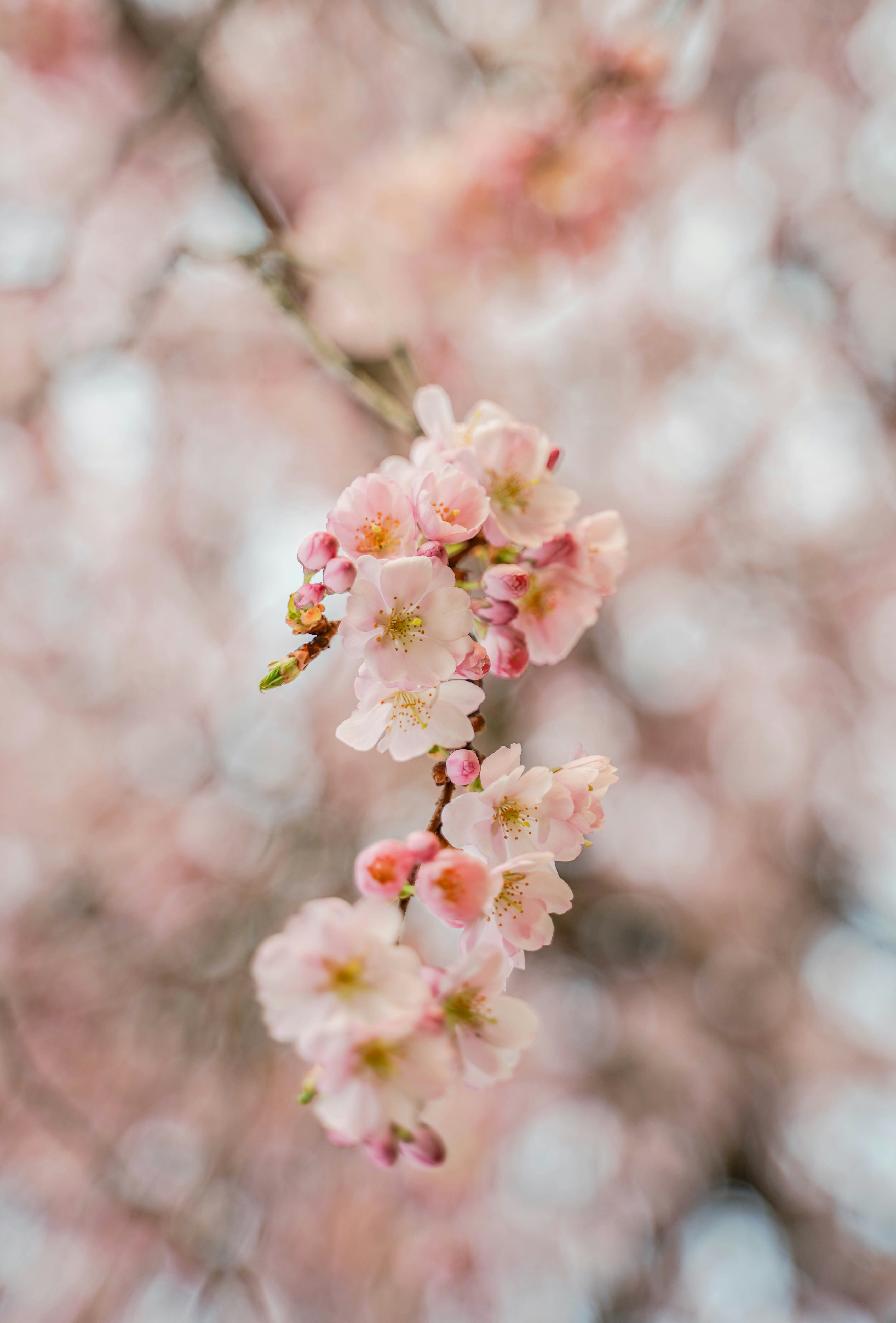 Photo by veronikadiegel