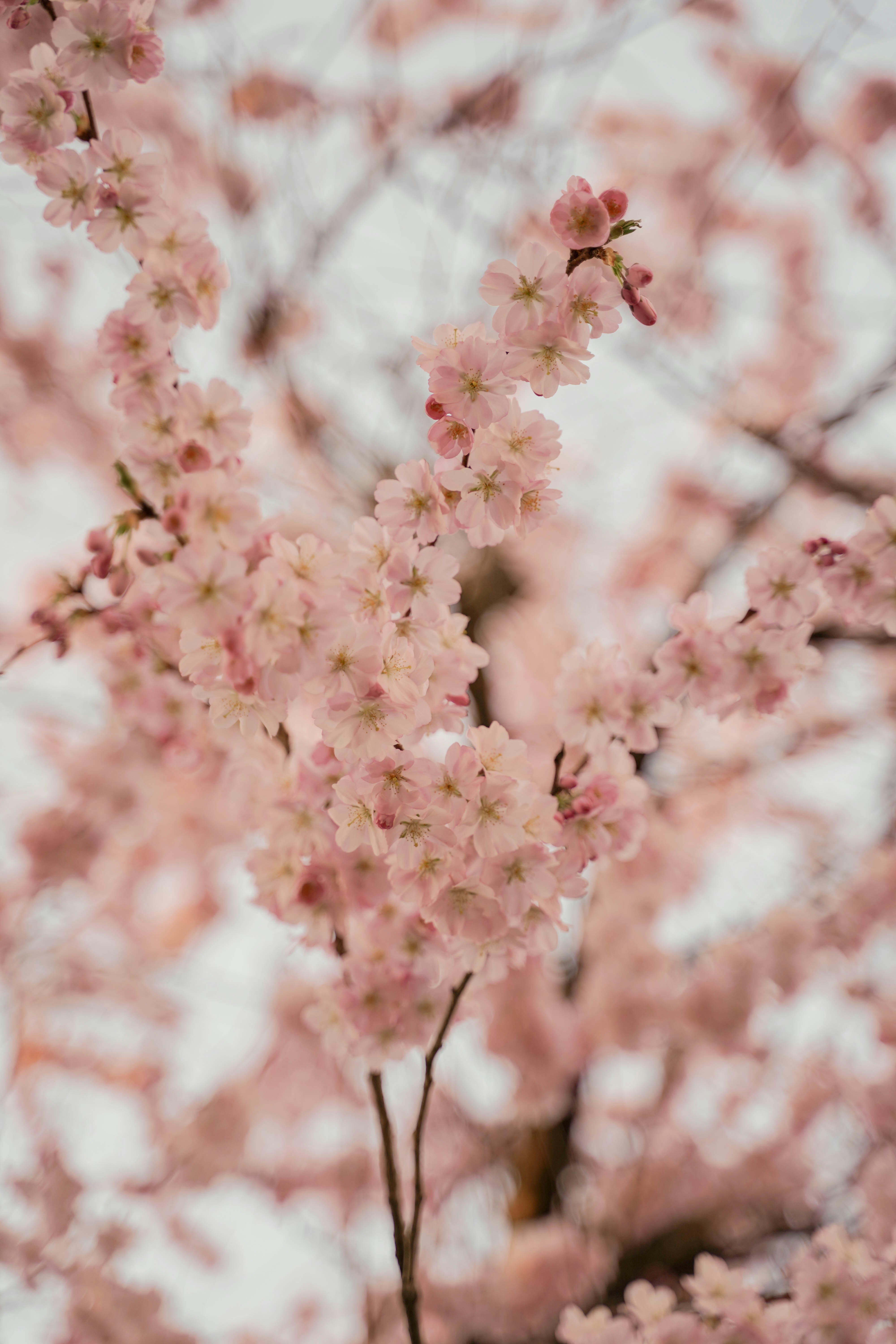 Photo by veronikadiegel