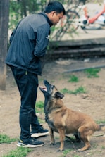A dog owner practicing training commands with their attentive dog outdoors.