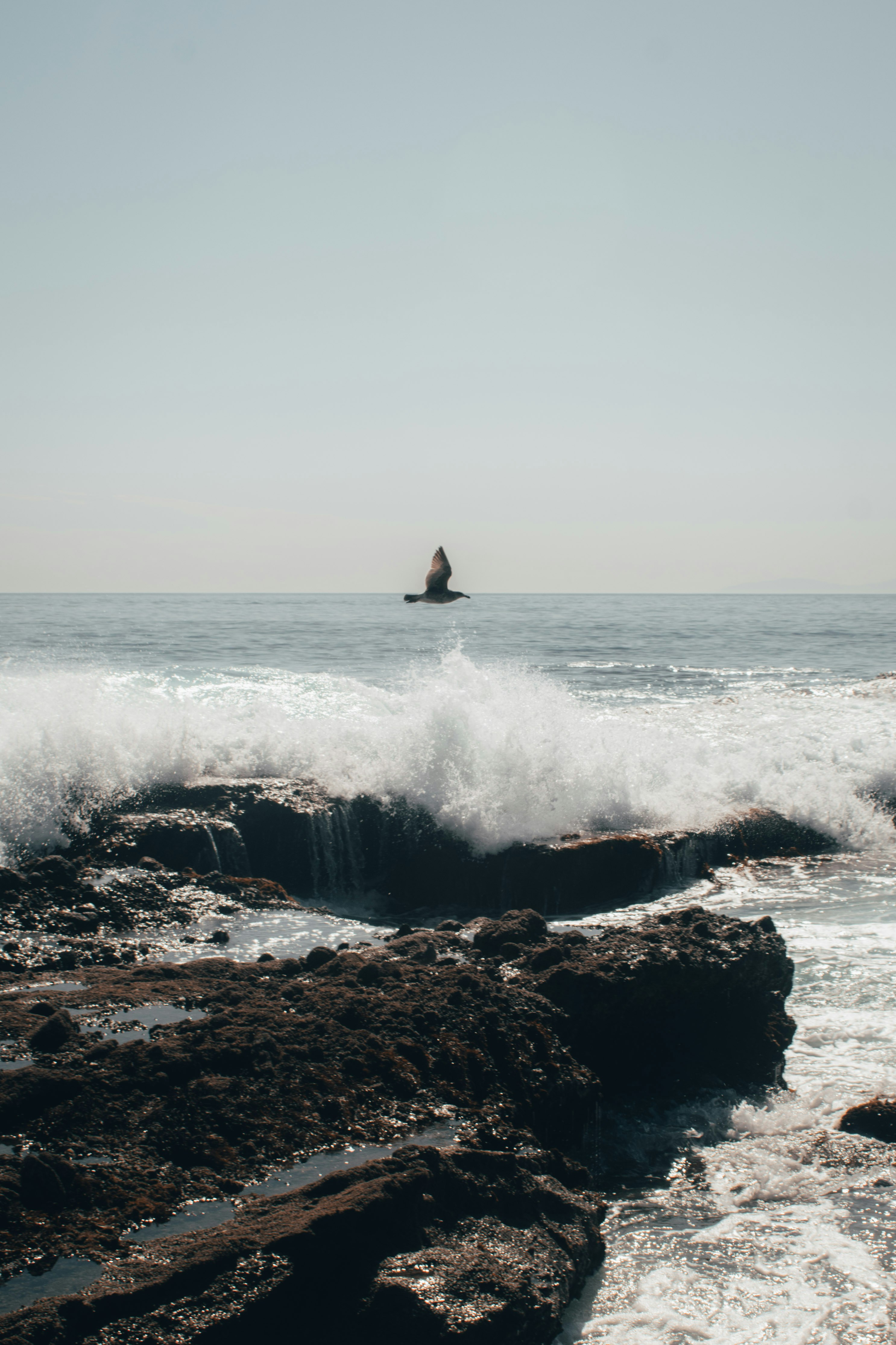 Photo by mariahhewines