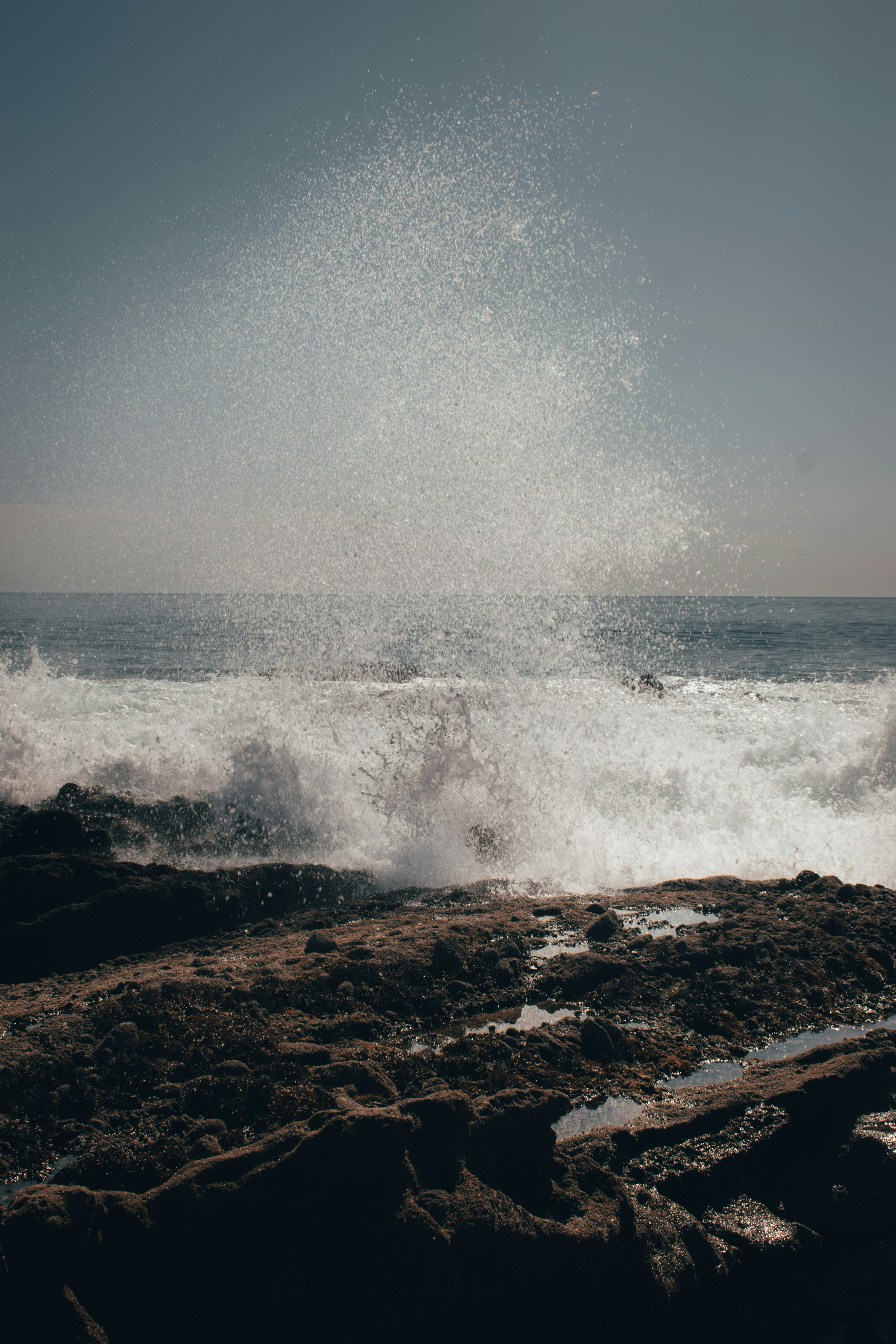 Photo by mariahhewines