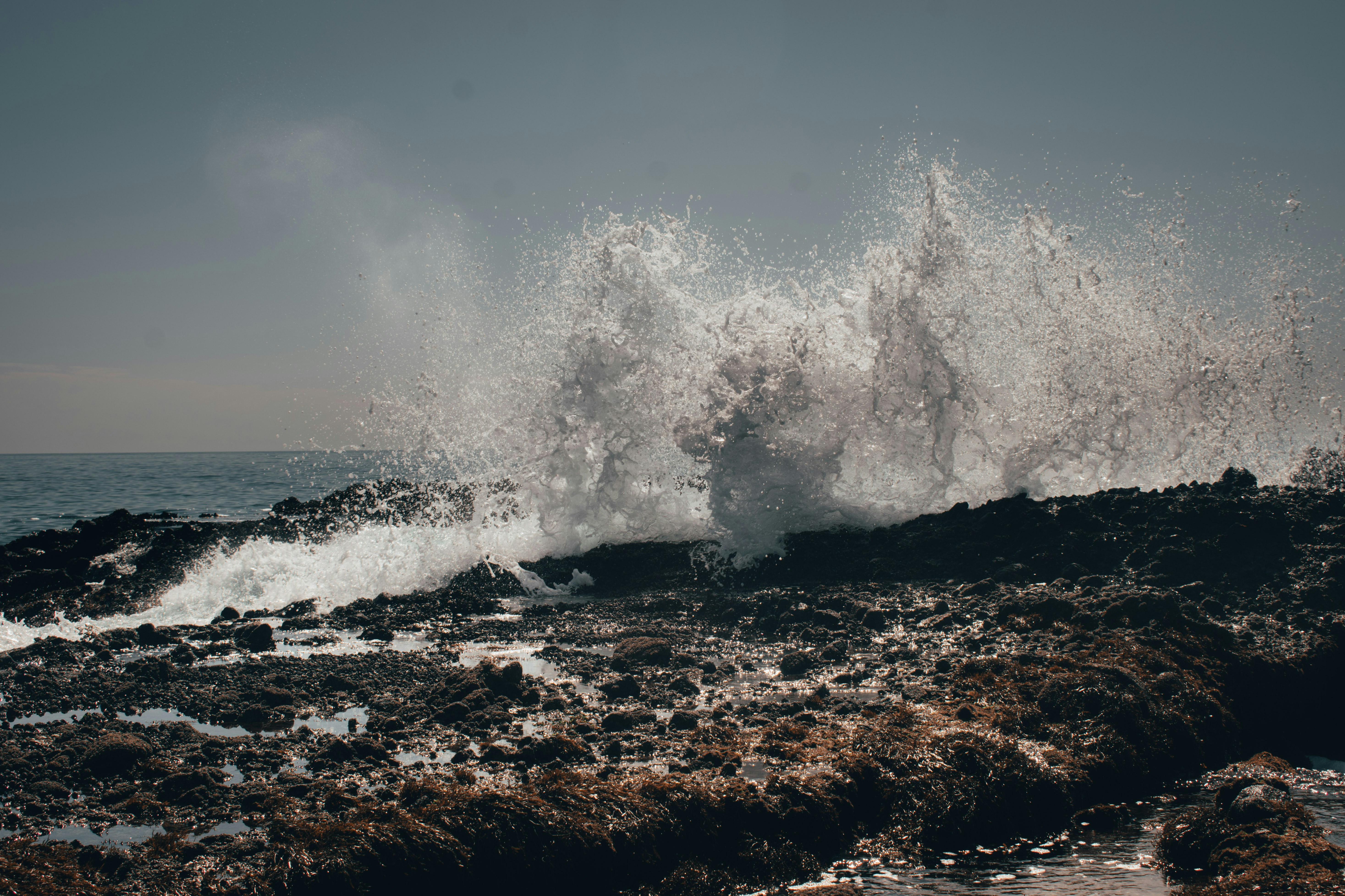 Photo by mariahhewines