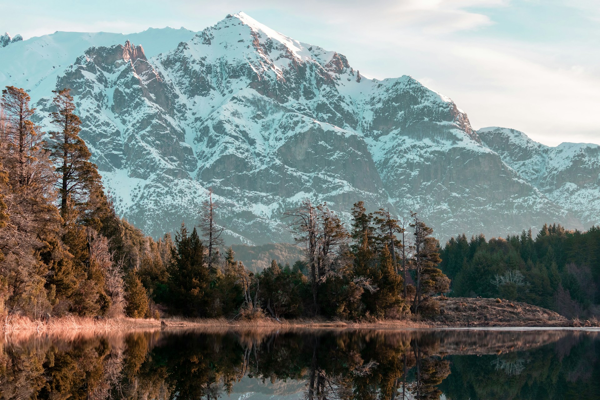 green trees near body of water and snow covered mountain during daytime