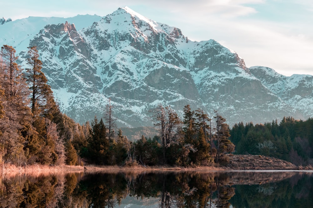 green trees near body of water and snow covered mountain during daytime