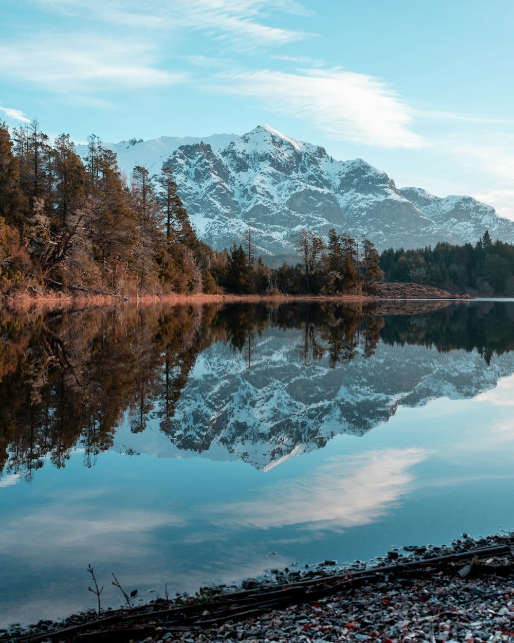 arbres verts près du lac et de la chaîne de montagnes