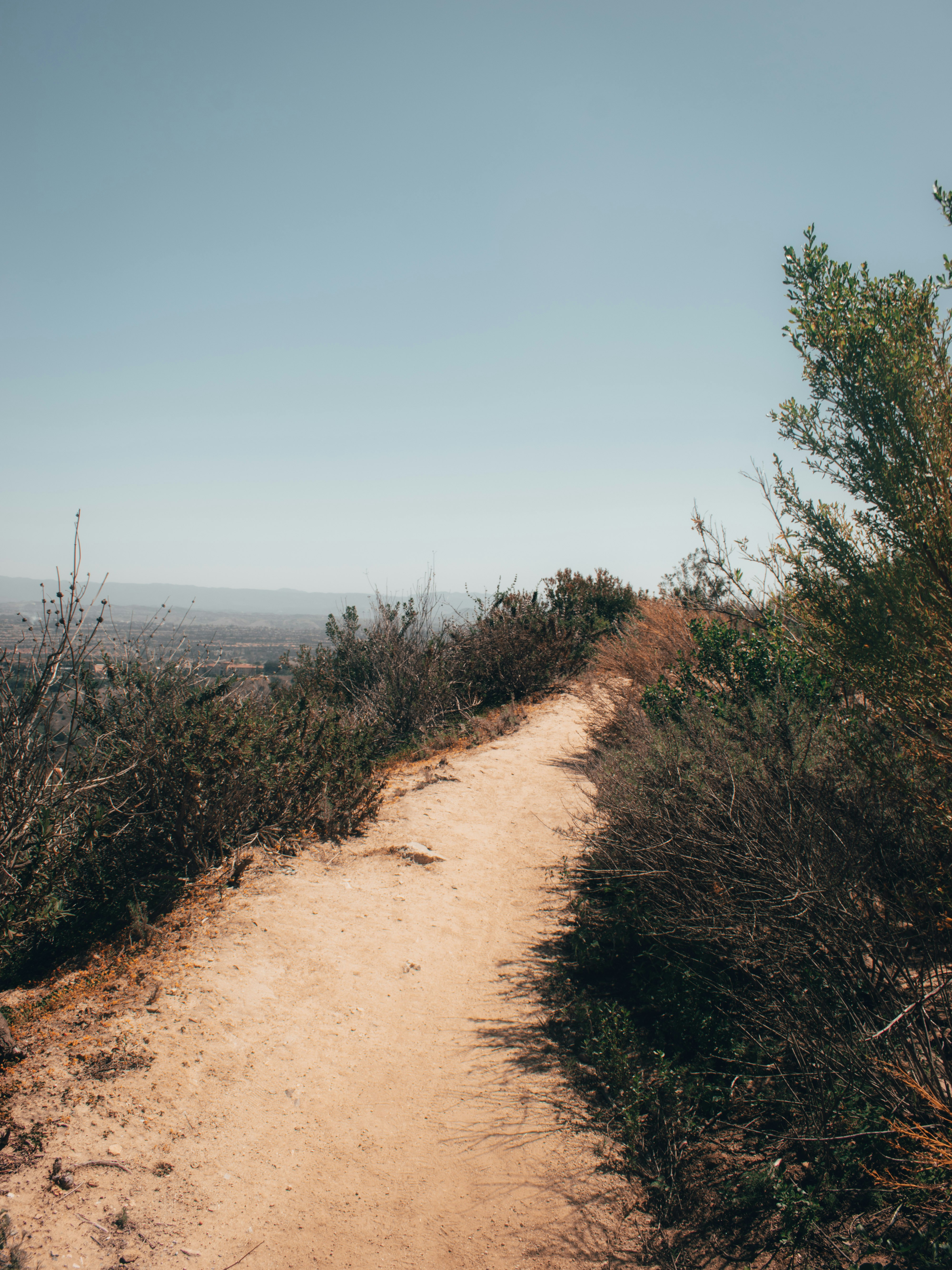 Photo by mariahhewines