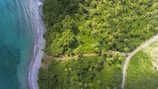 green trees near river during daytime