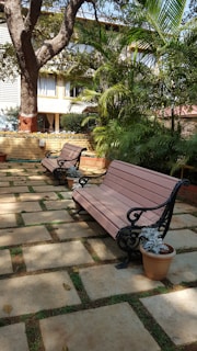 Well-maintained urban garden area with benches and native plants under bright sunlight.