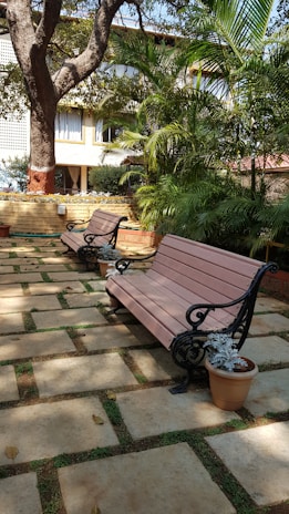 Well-maintained urban garden area with benches and native plants under bright sunlight.