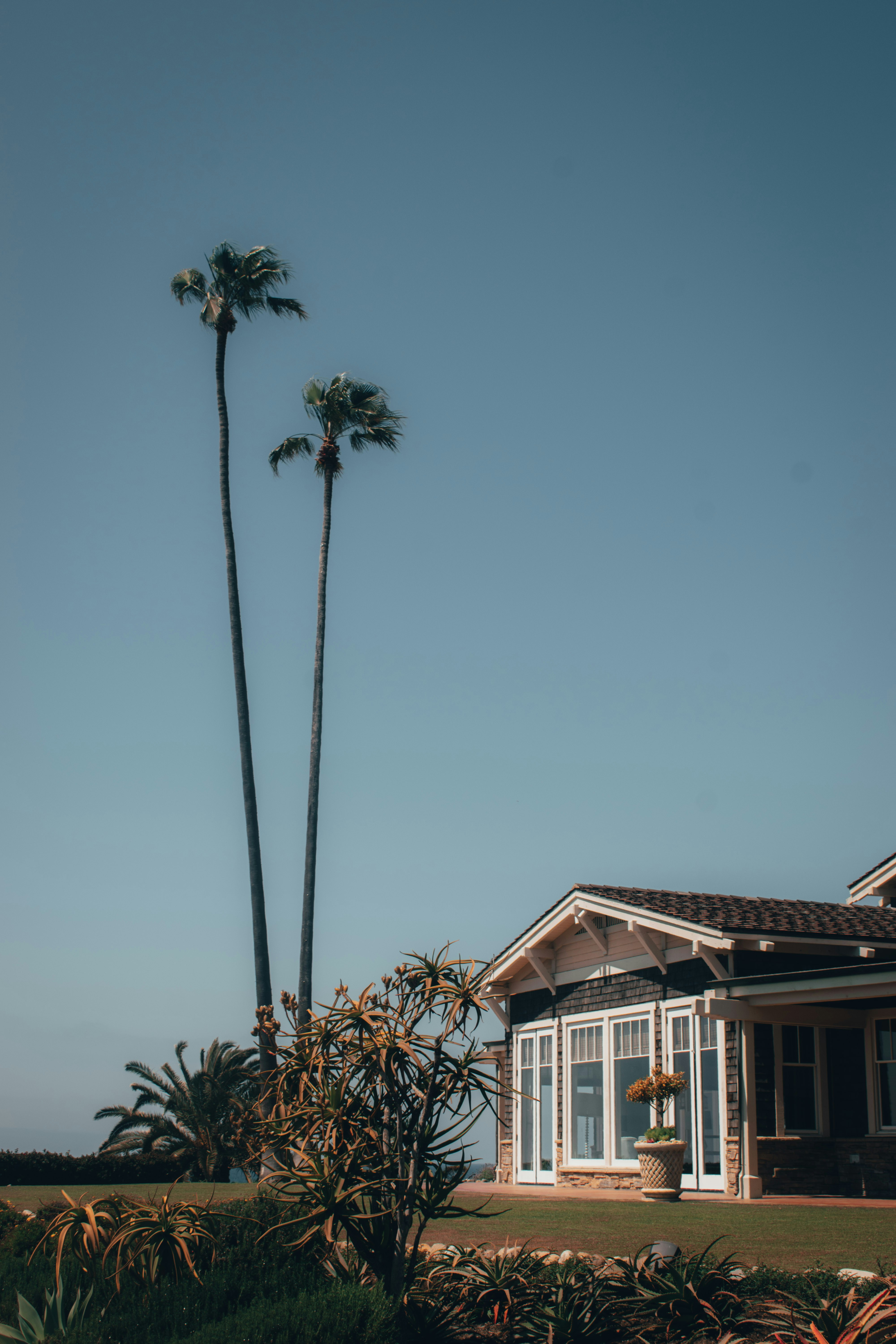 Photo by mariahhewines