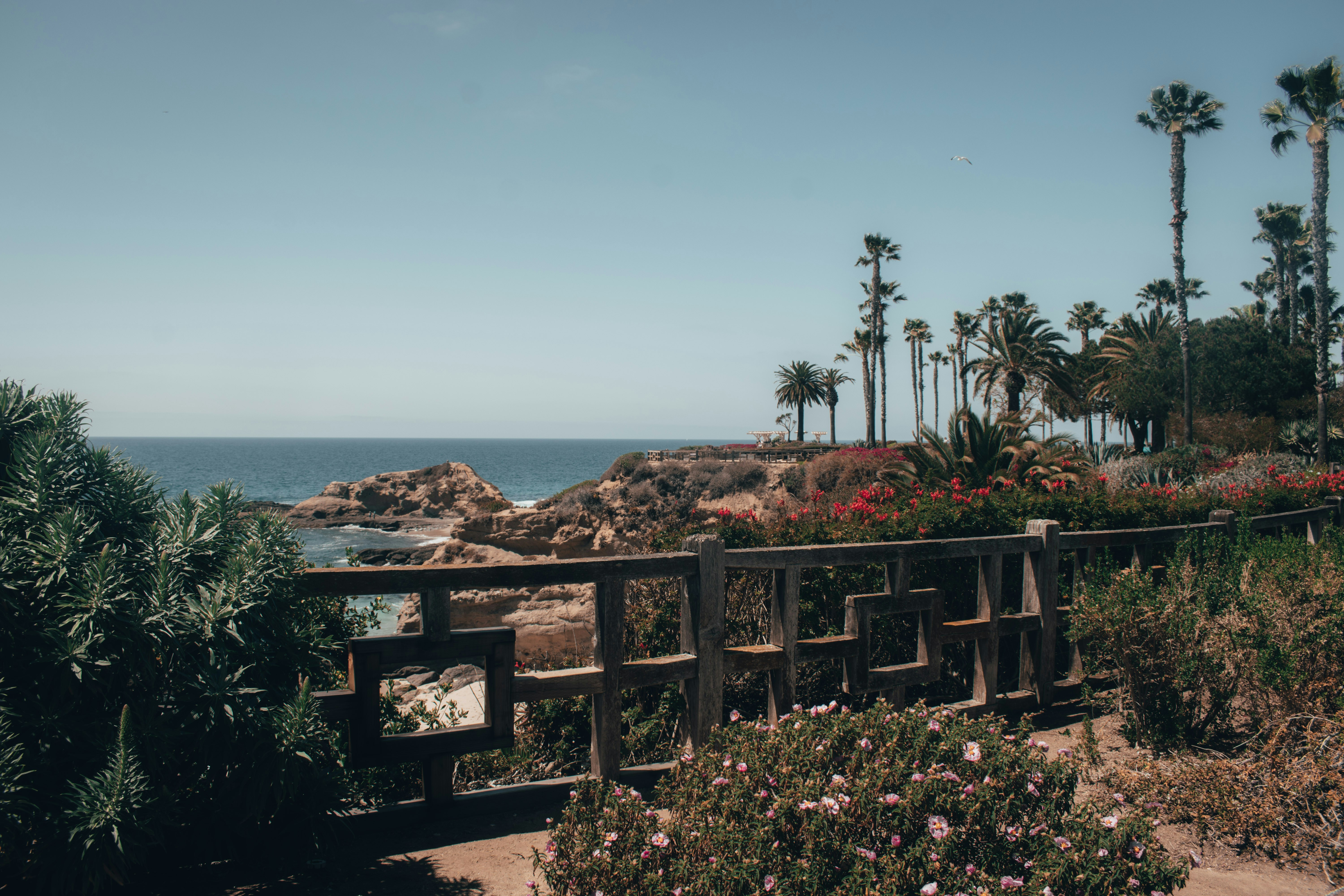 Photo by mariahhewines