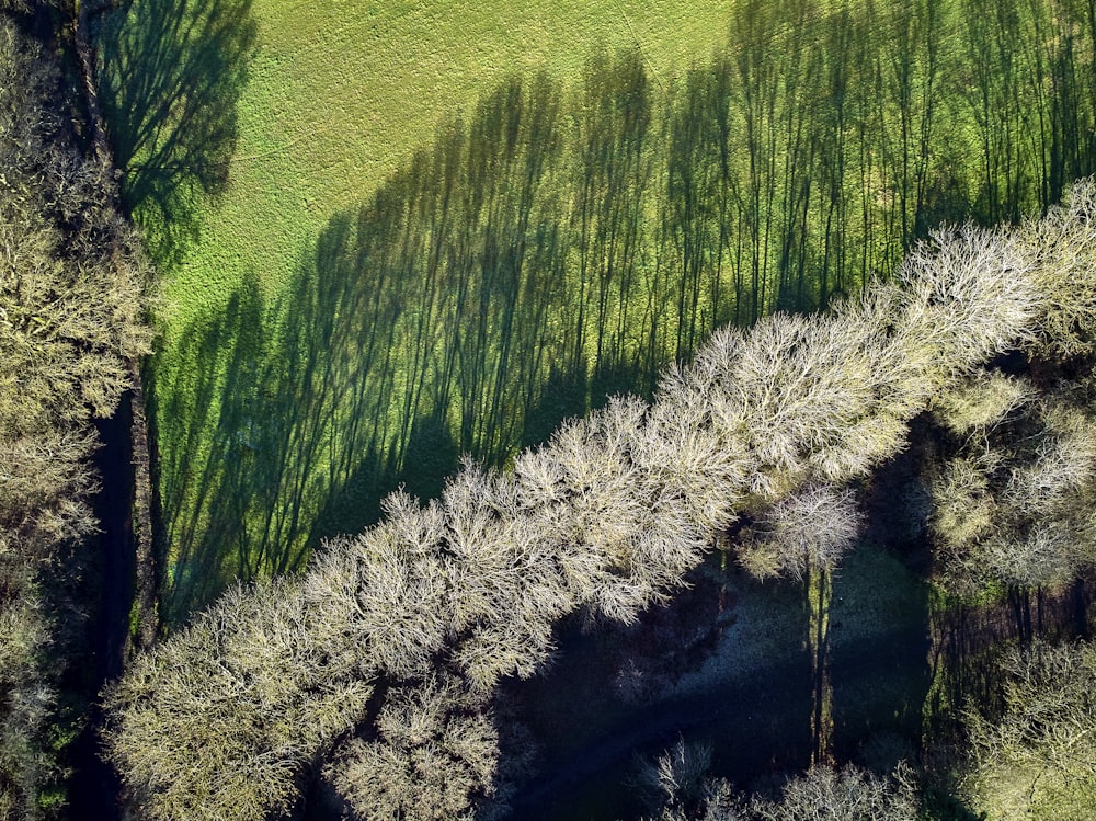 green grass field during daytime