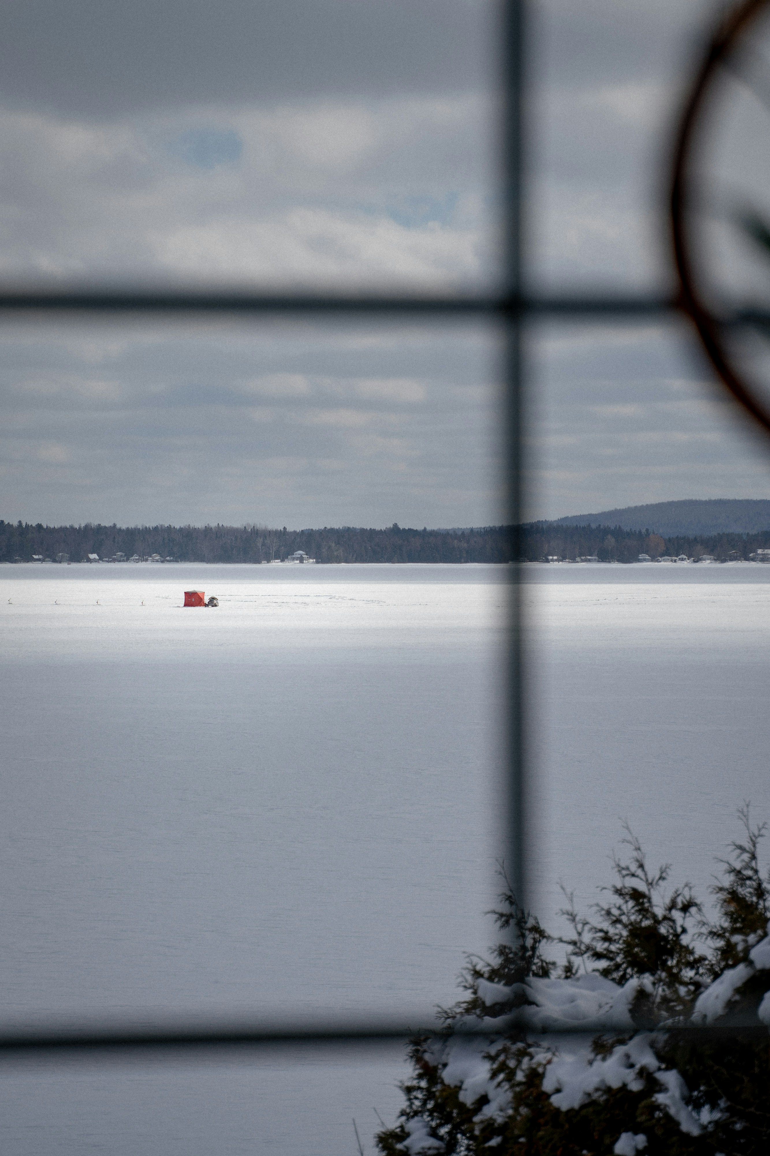 Cuerpo de agua cerca de árboles durante el día
