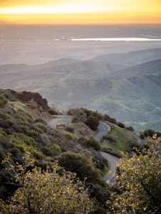 A winding mountain road surrounded by lush green forests in Serra Gaúcha during sunset.