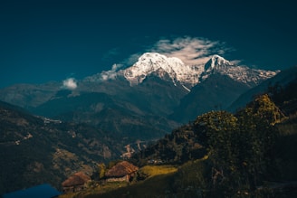 green trees and white snow covered mountain during daytime