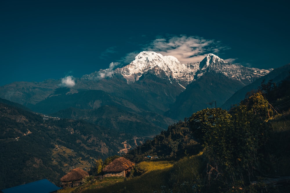 green trees and white snow covered mountain during daytime