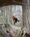 Two park rangers using Motorola T82 Extreme walkie talkies with a zipline backdrop.