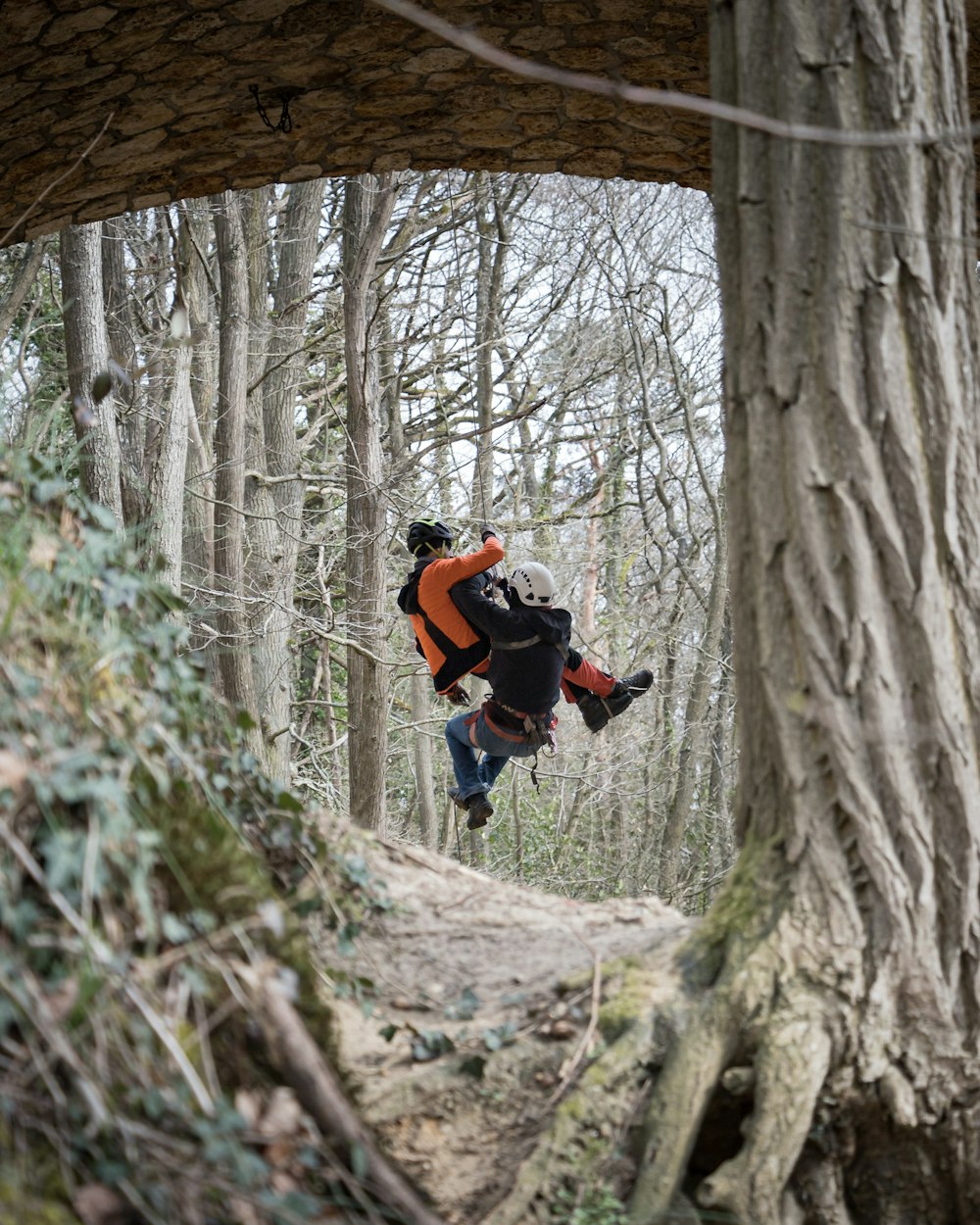 man in black jacket and black pants climbing on brown tree during daytime