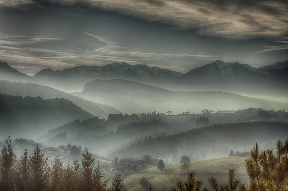 green trees and mountains during daytime