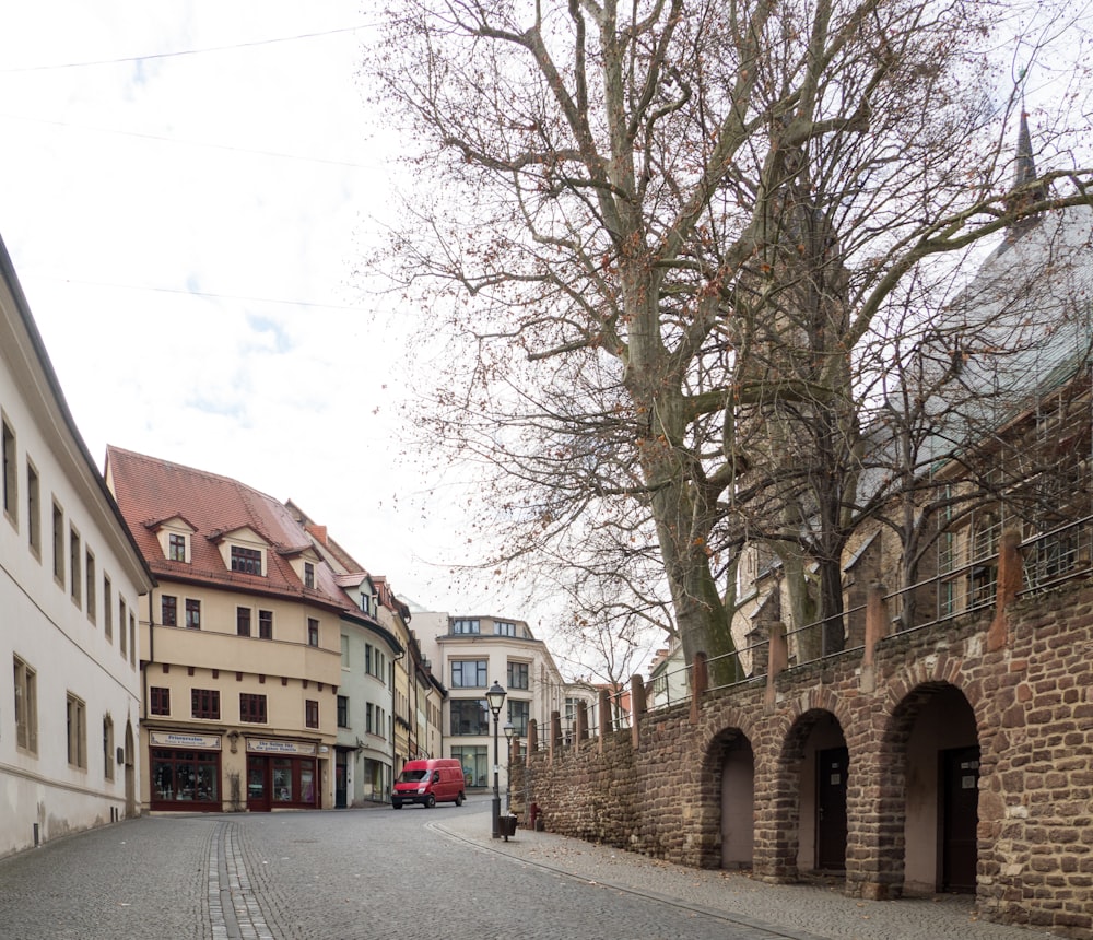 Arbres dénudés bruns près d’un bâtiment en béton brun pendant la journée