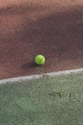 A vintage tennis ball and racket resting on a classic green court surface.
