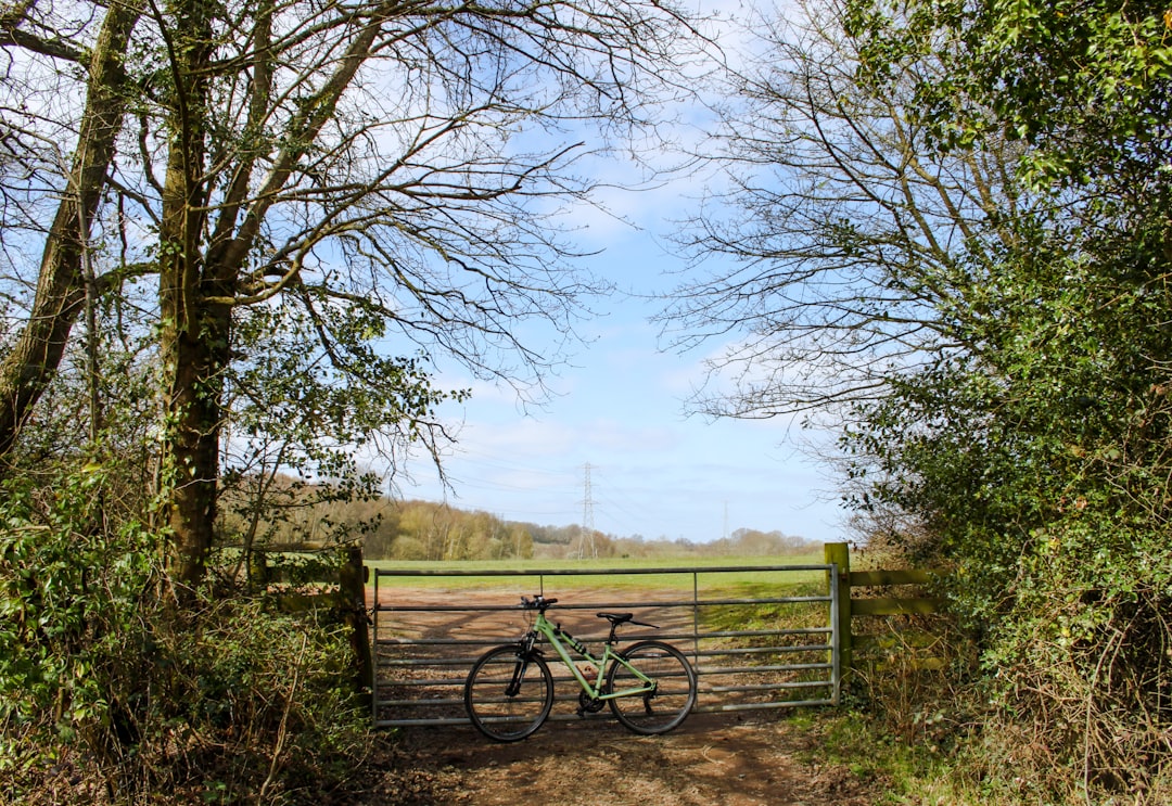 black bicycle on green grass field near bare trees during daytime