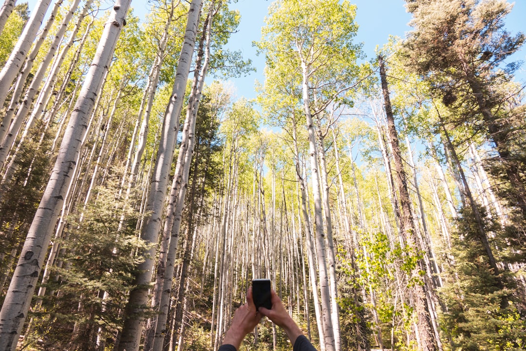 Exploring Colorado's Hidden Gem 7 Reasons