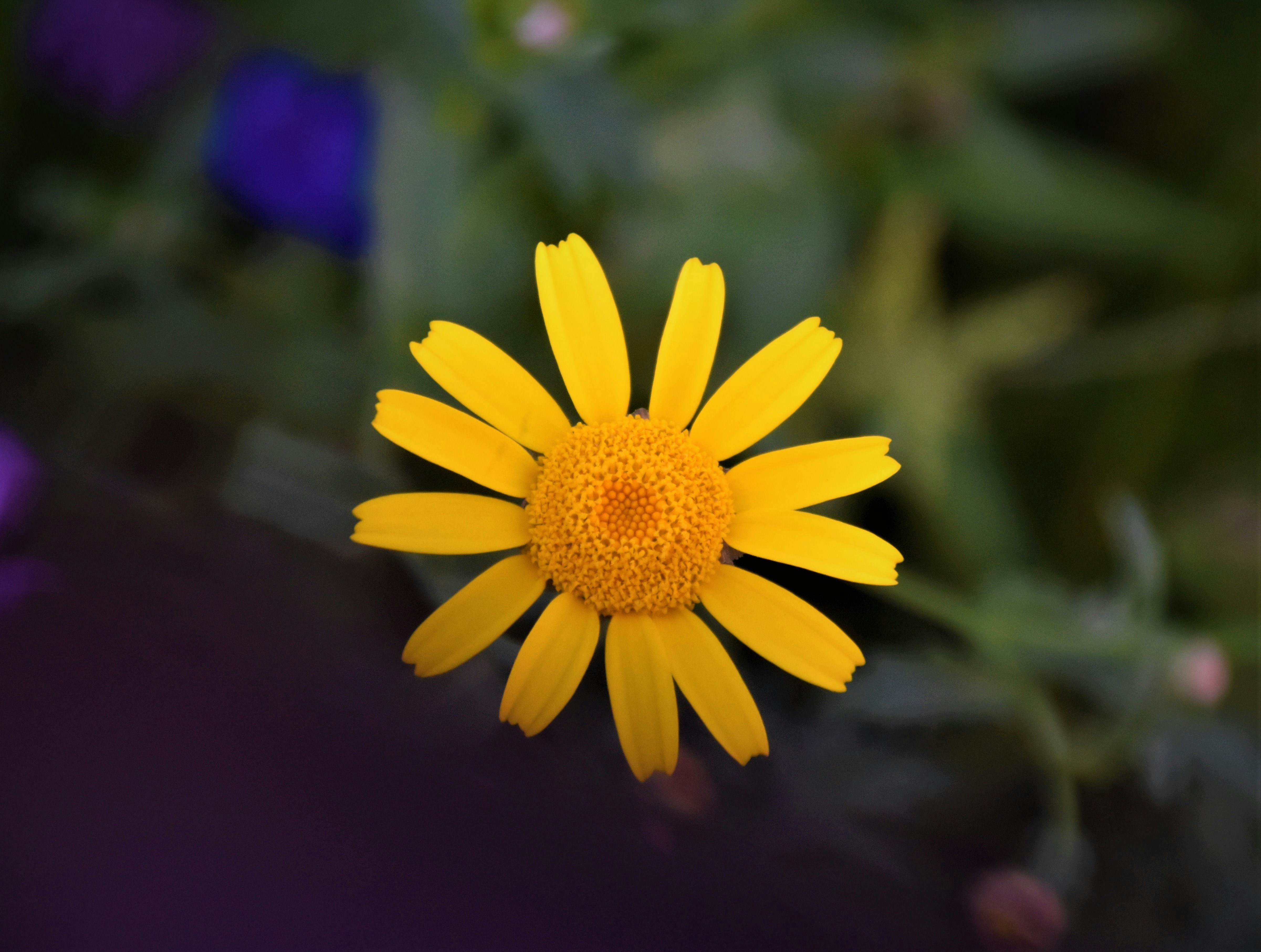 Photo by waldemarbrandt67w