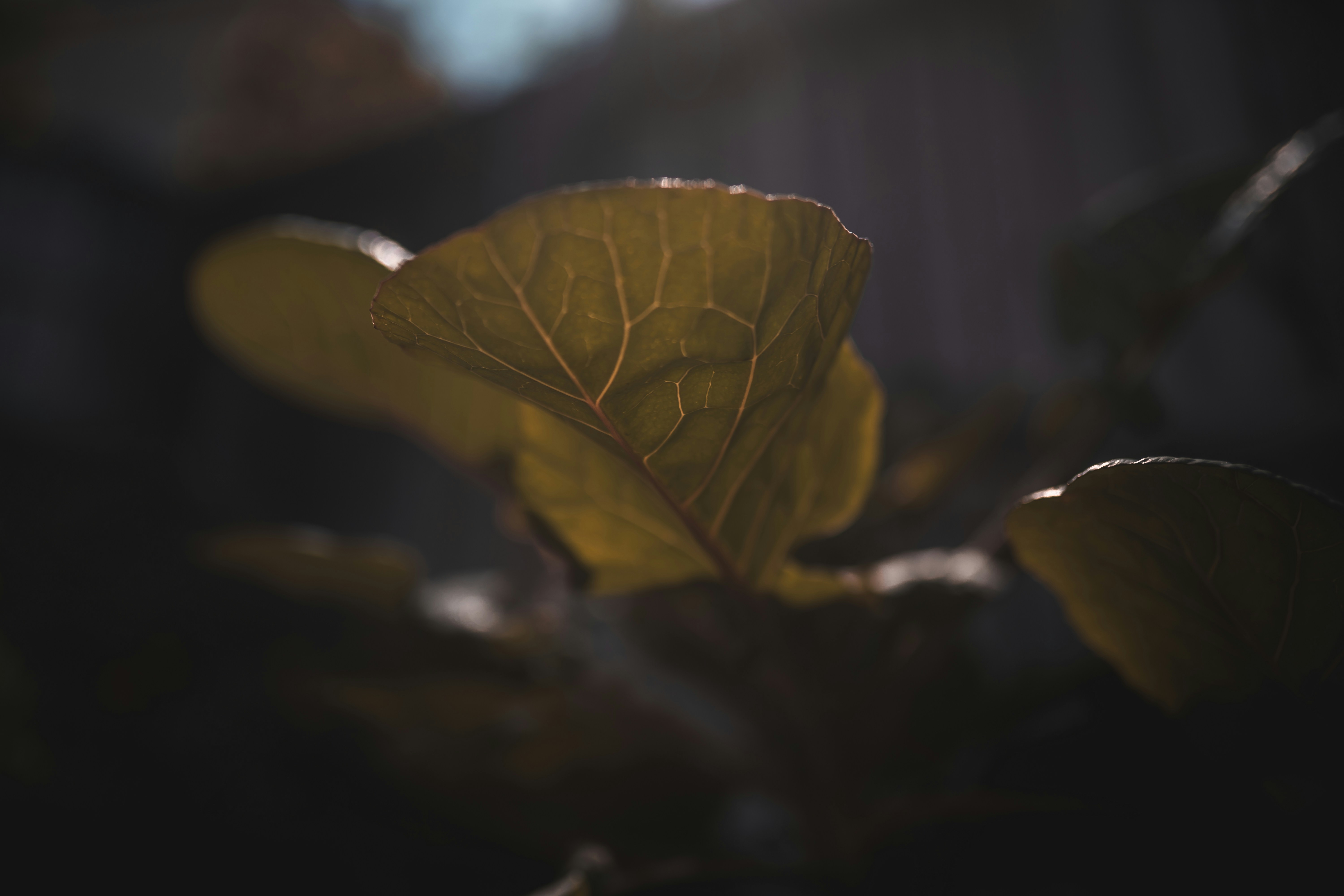 Photo by heyitsjamaal