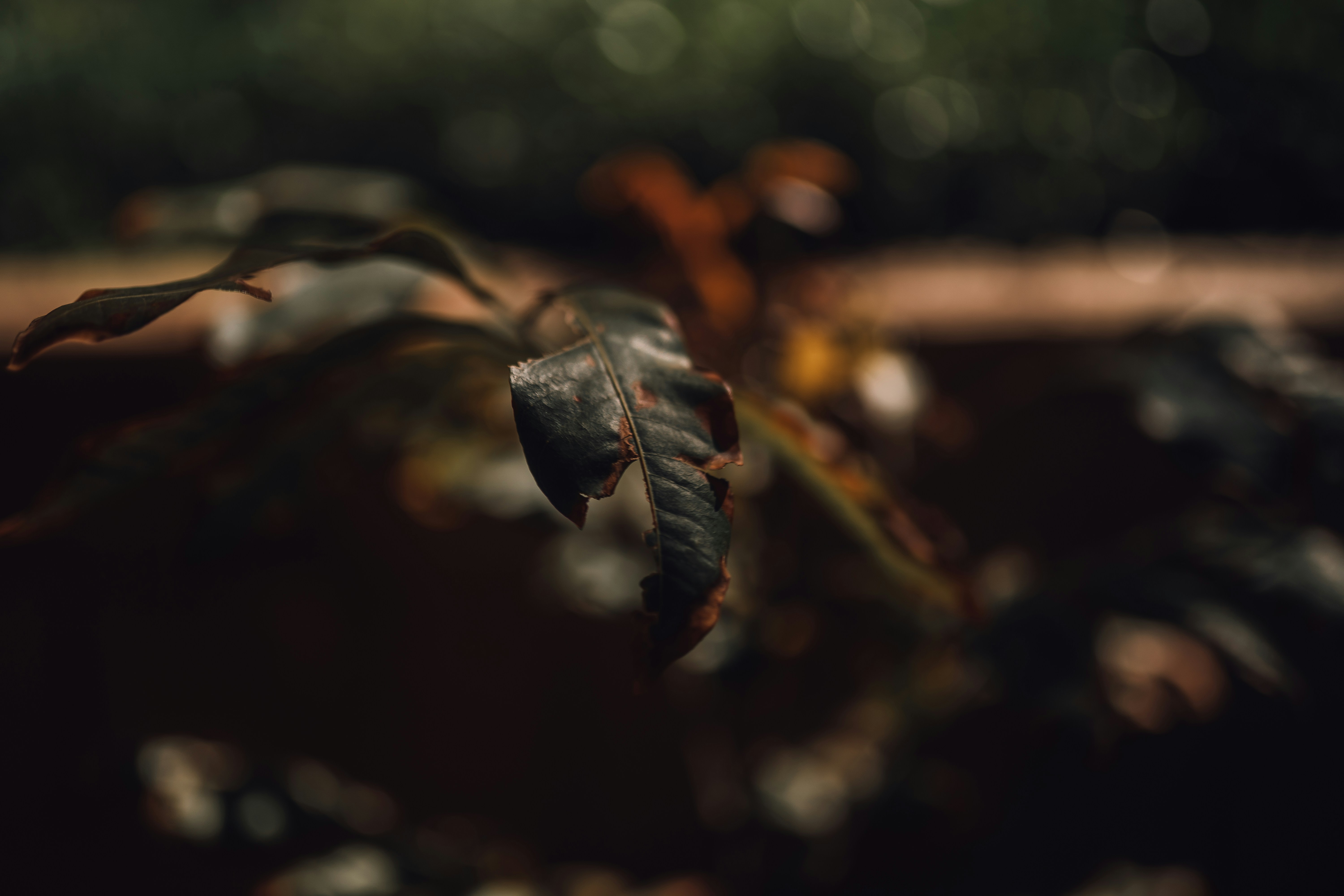 Photo by heyitsjamaal