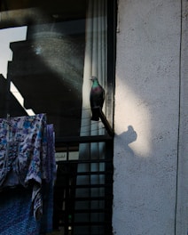 A balcony fully covered with a neatly installed pigeon net, sunlight filtering through.