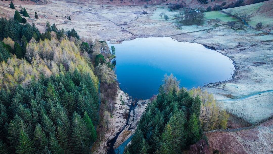 green trees beside blue lake during daytime