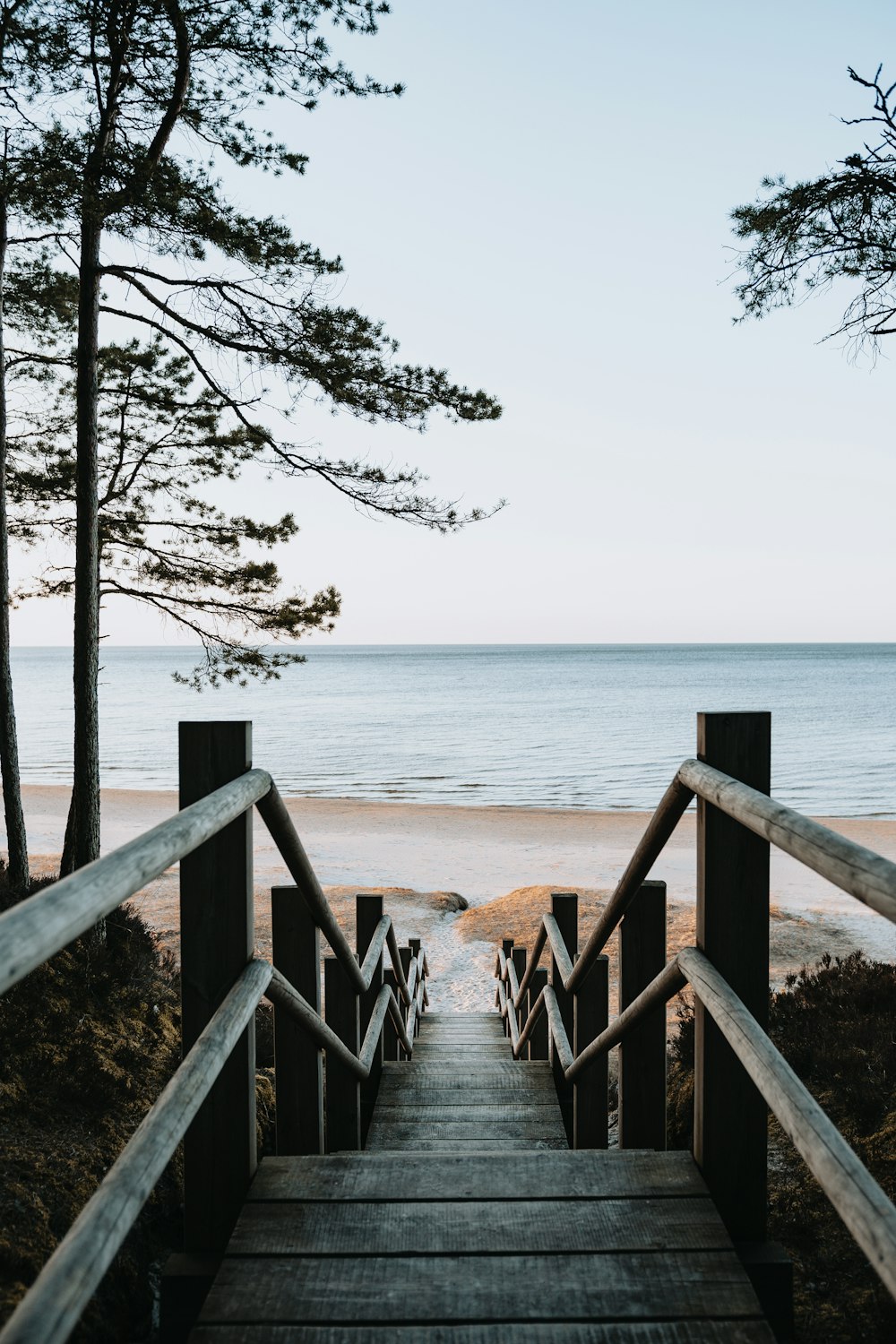 Pont en bois brun sur la mer pendant la journée