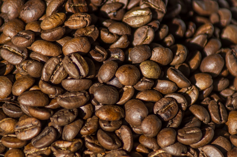 brown coffee beans on brown wooden table