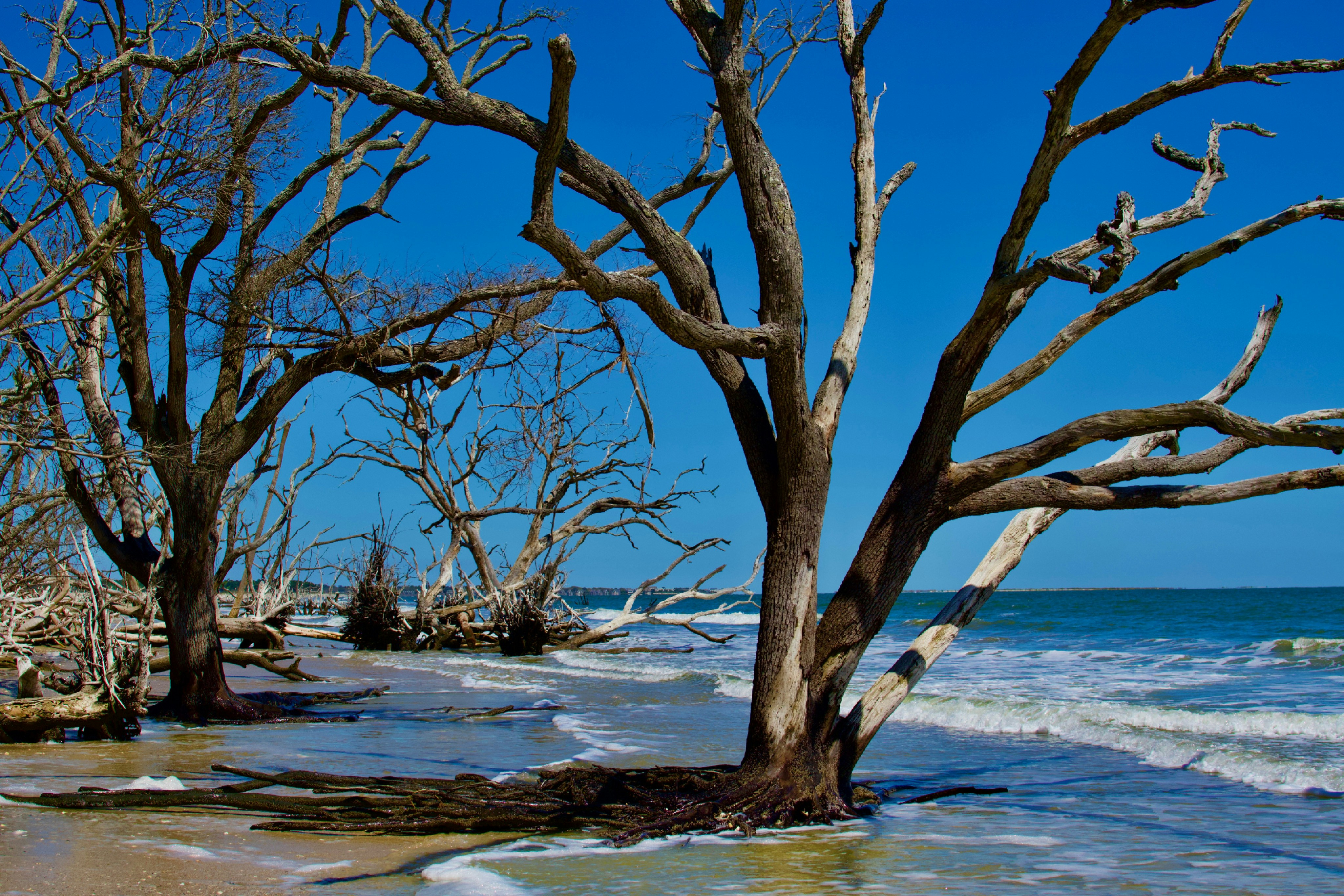 Photo by cowboytroy540