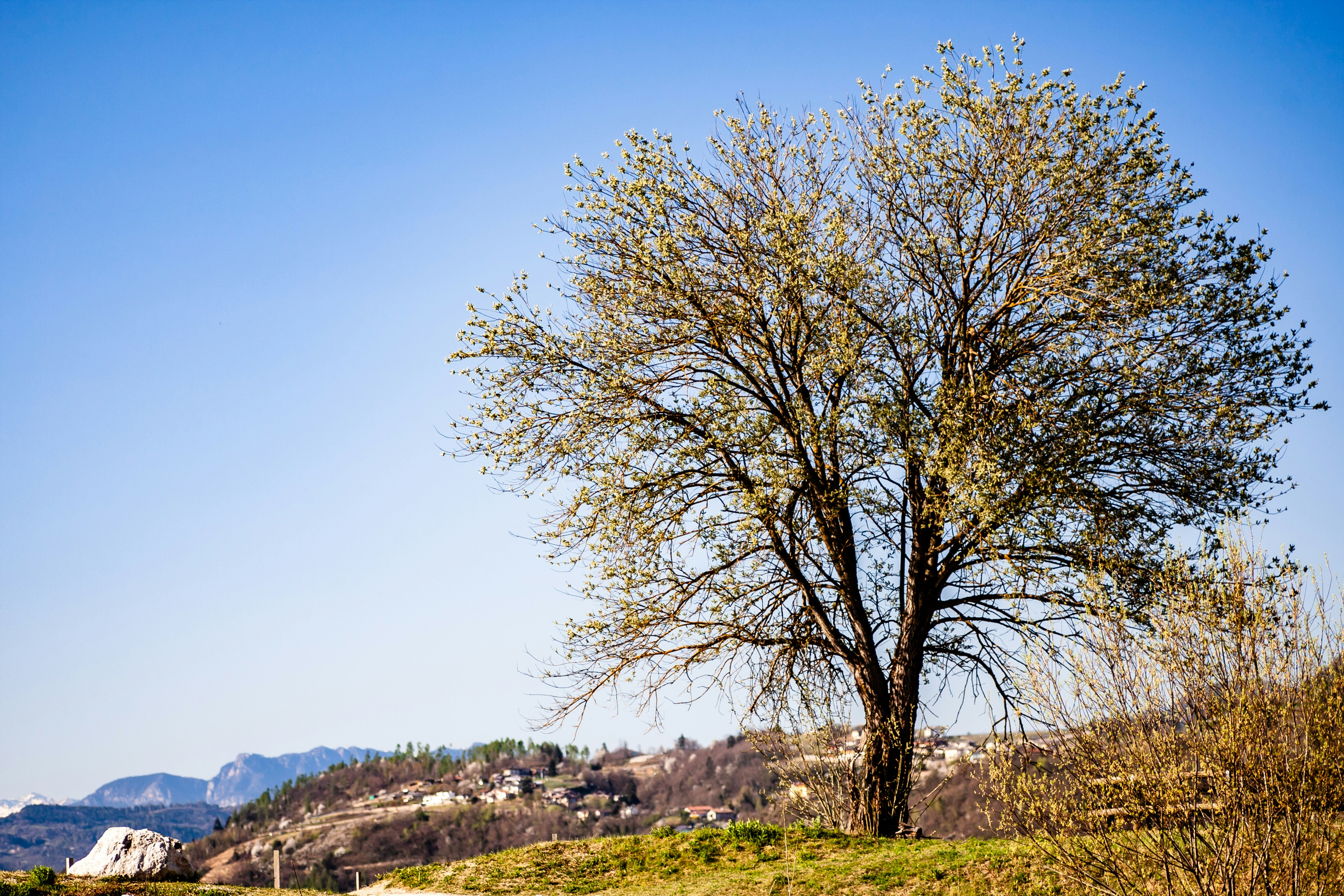Photo by photoroutes