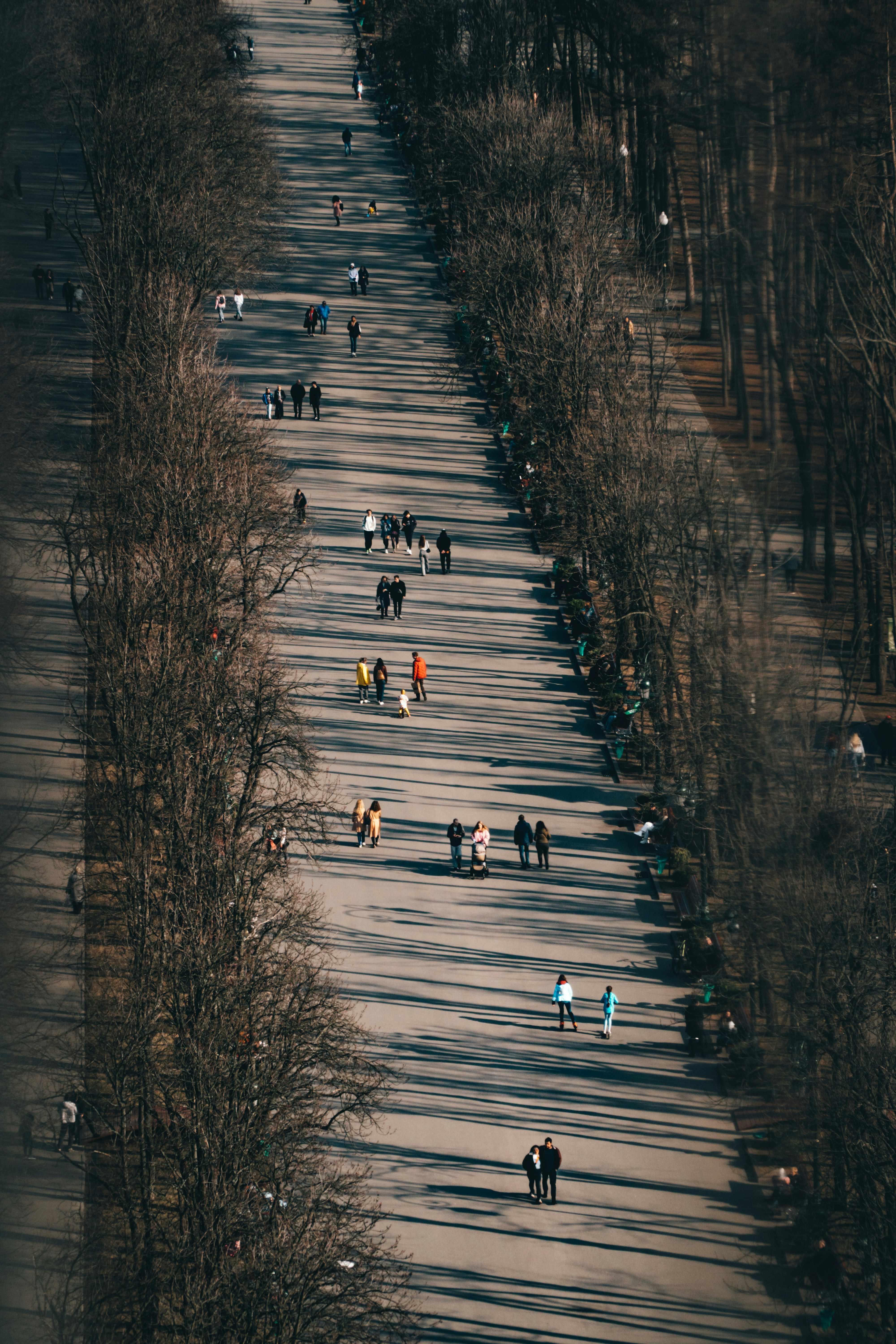 Image of people jogging in the park